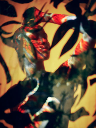 Distortion