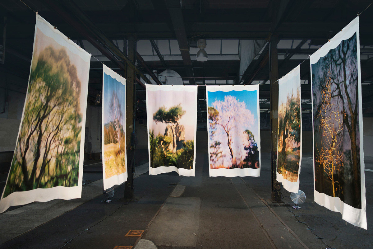 Jacquie Maria Wessels, Memory Master Tree Installation, 2021