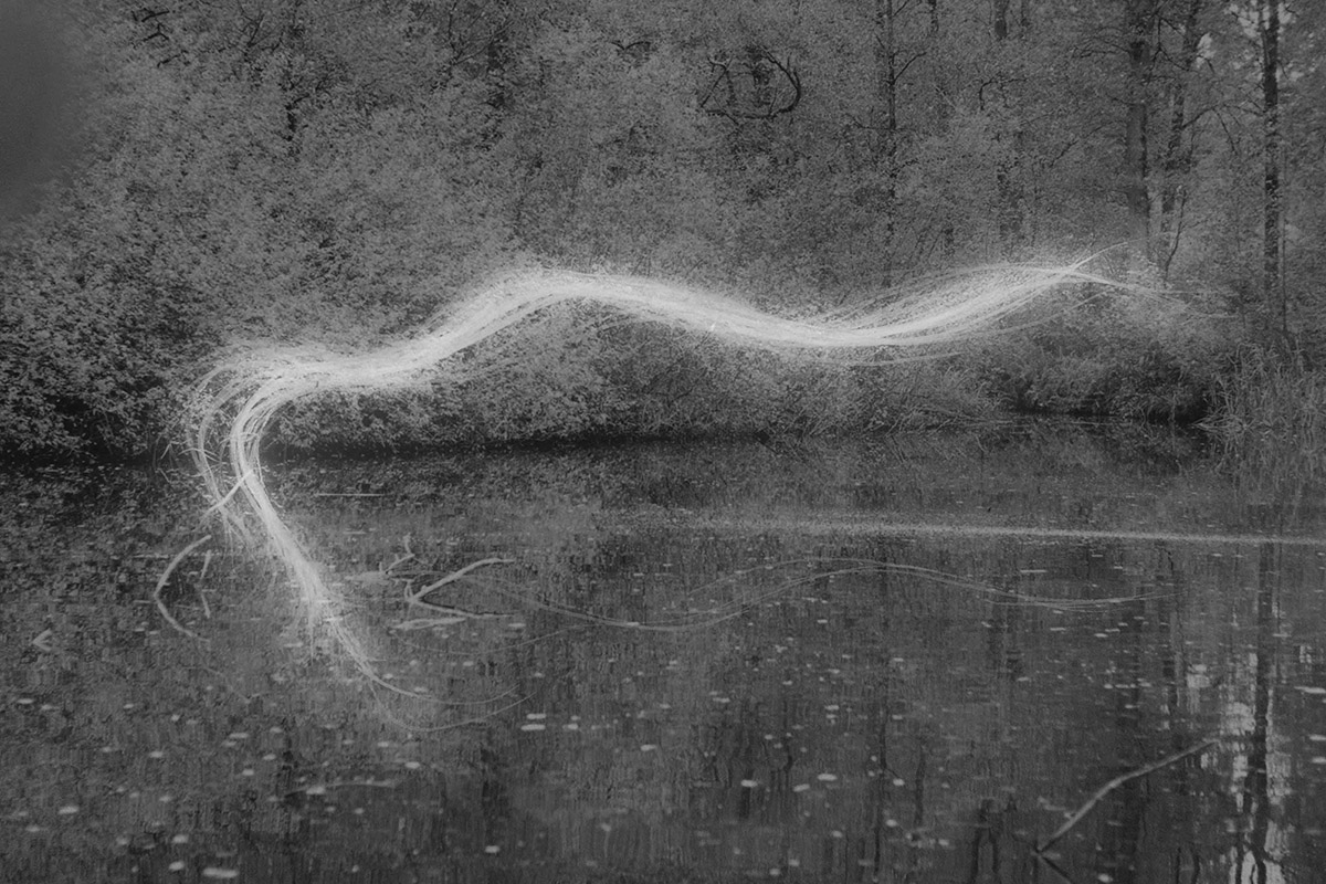 Jet Siemons, The Swamp, 2023