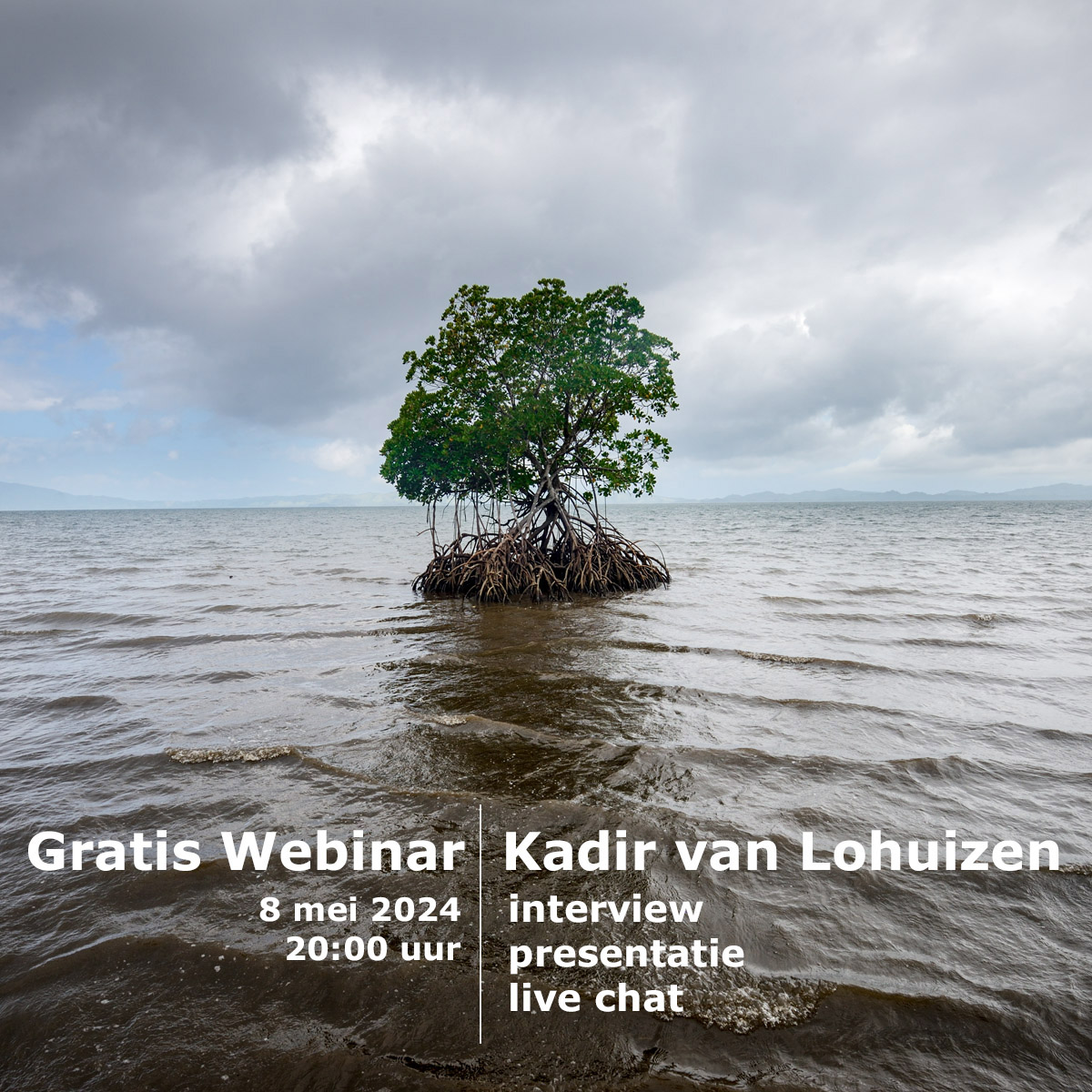 Webinar met Kadir van Lohuizen