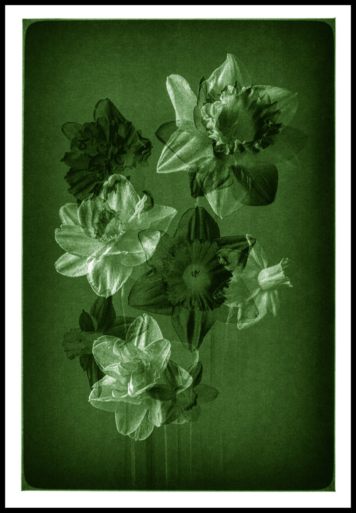 Yvone Witte, Nostalgia