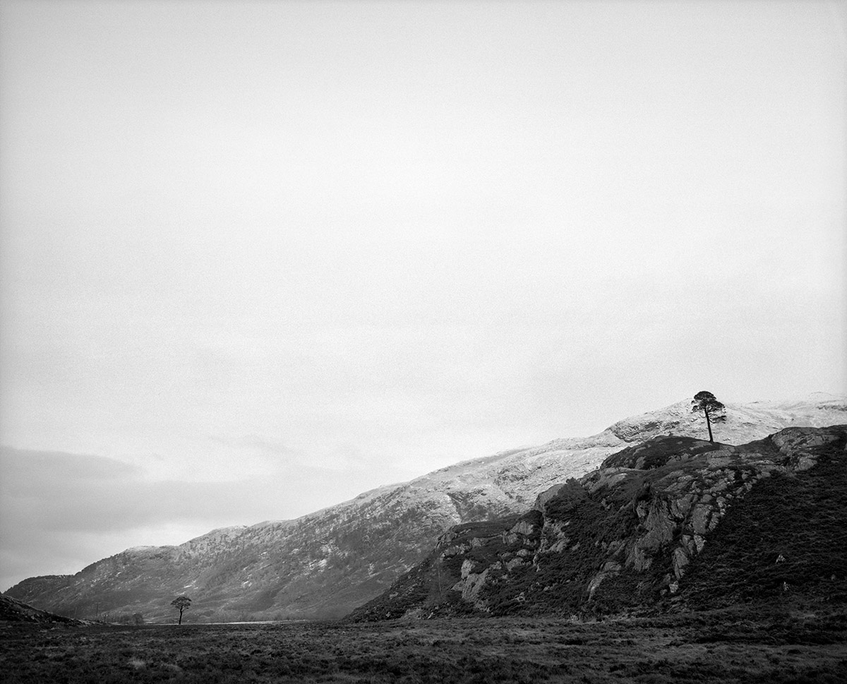 Jeroen Toirkens, Kahmann Gallery