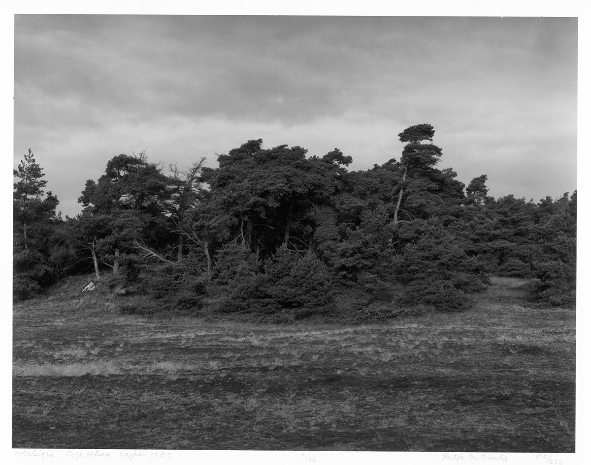 Rutger ten Broeke, Odalisque, Hoge Veluwe, 1985