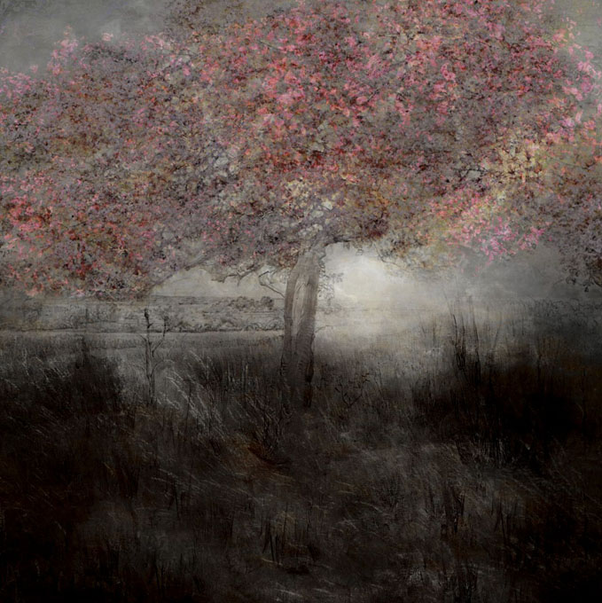 Saskia Boelsums, Landscape Revisited