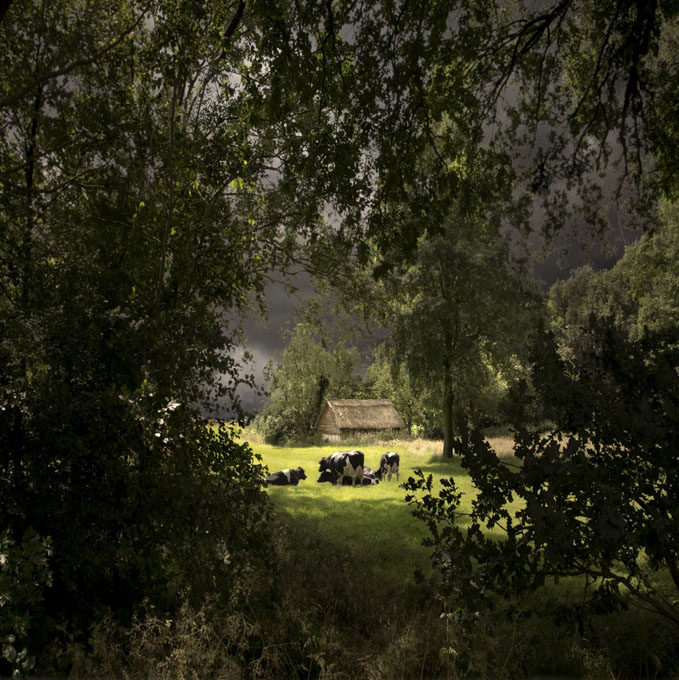 Saskia Boelsums, Landscape Revisited