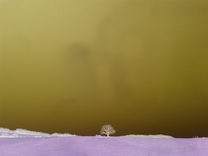 Elsa Parant, Eindexamenexpositie LUCID