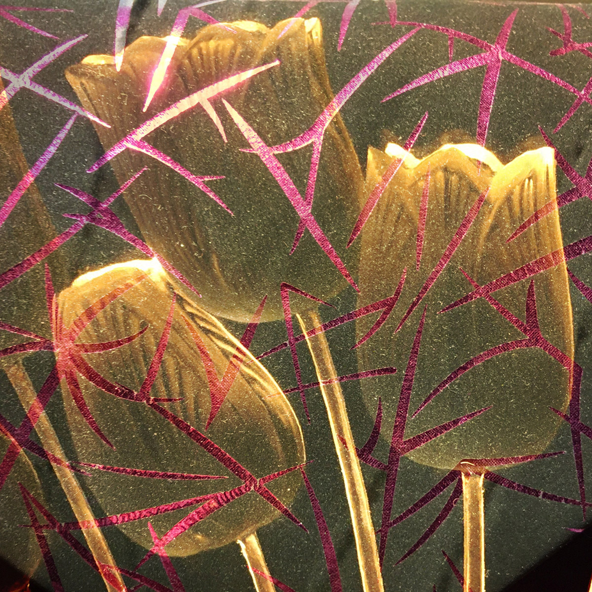 Marja Driessens-Diessel, Fotografie van (on)werkelijkheid