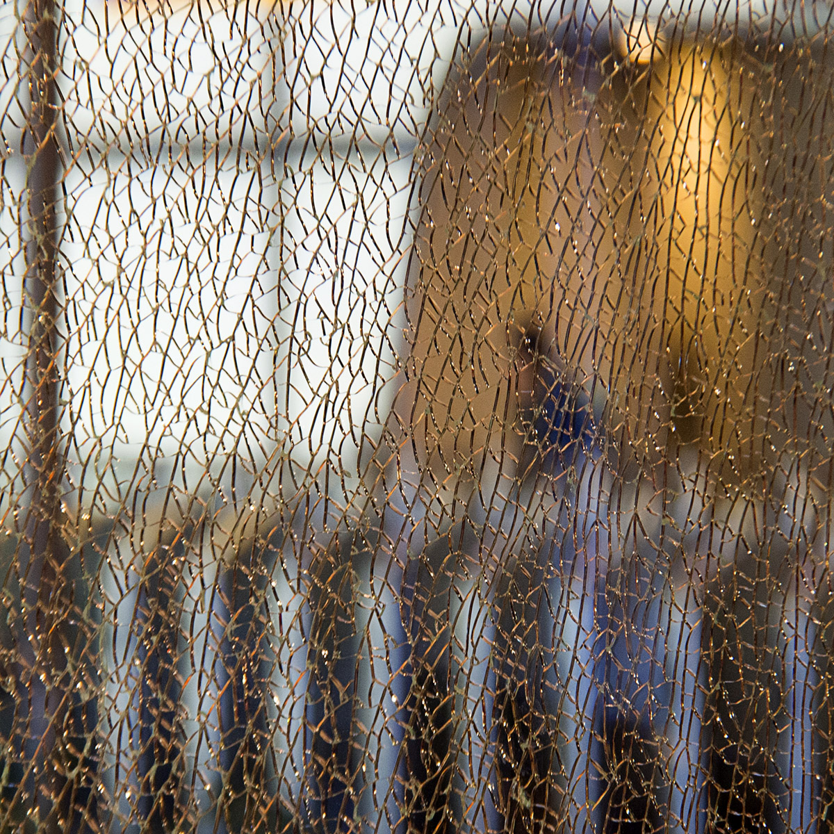 Marja Driessens-Diessel, Fotografie van (on)werkelijkheid