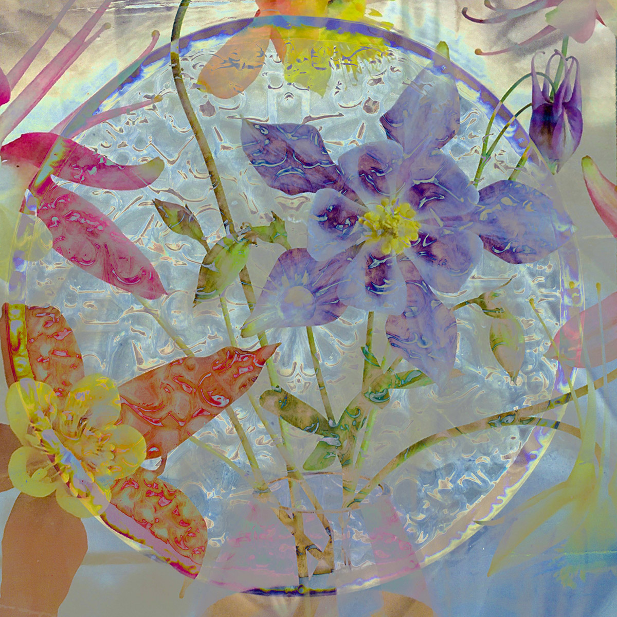 Marja Driessens-Diessel, Fotografie van (on)werkelijkheid