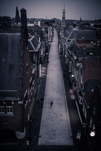 Alkmaar en het Noordhollanse landschap