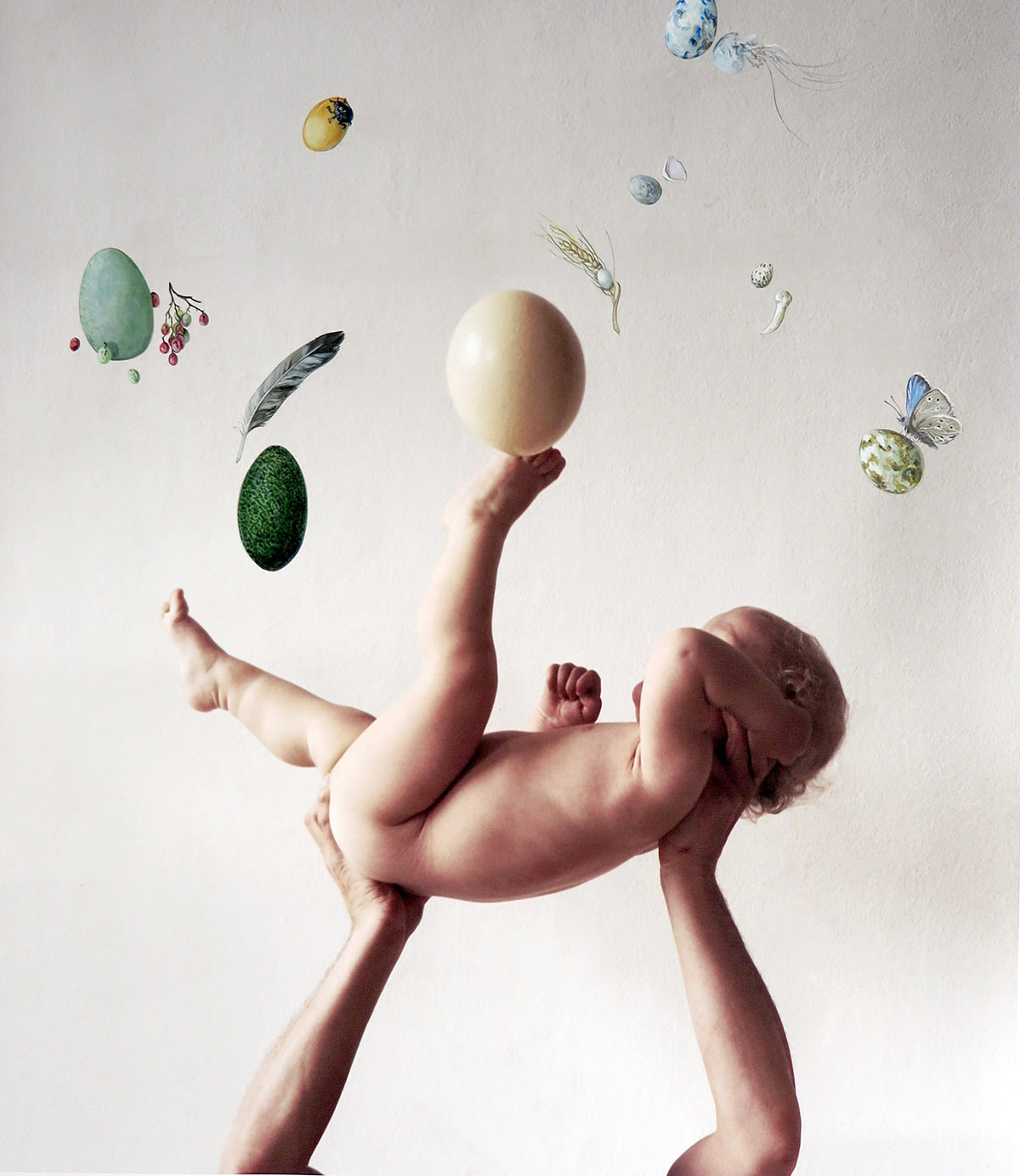 Marie Pop, The Lost Wonders of the Future Paradise