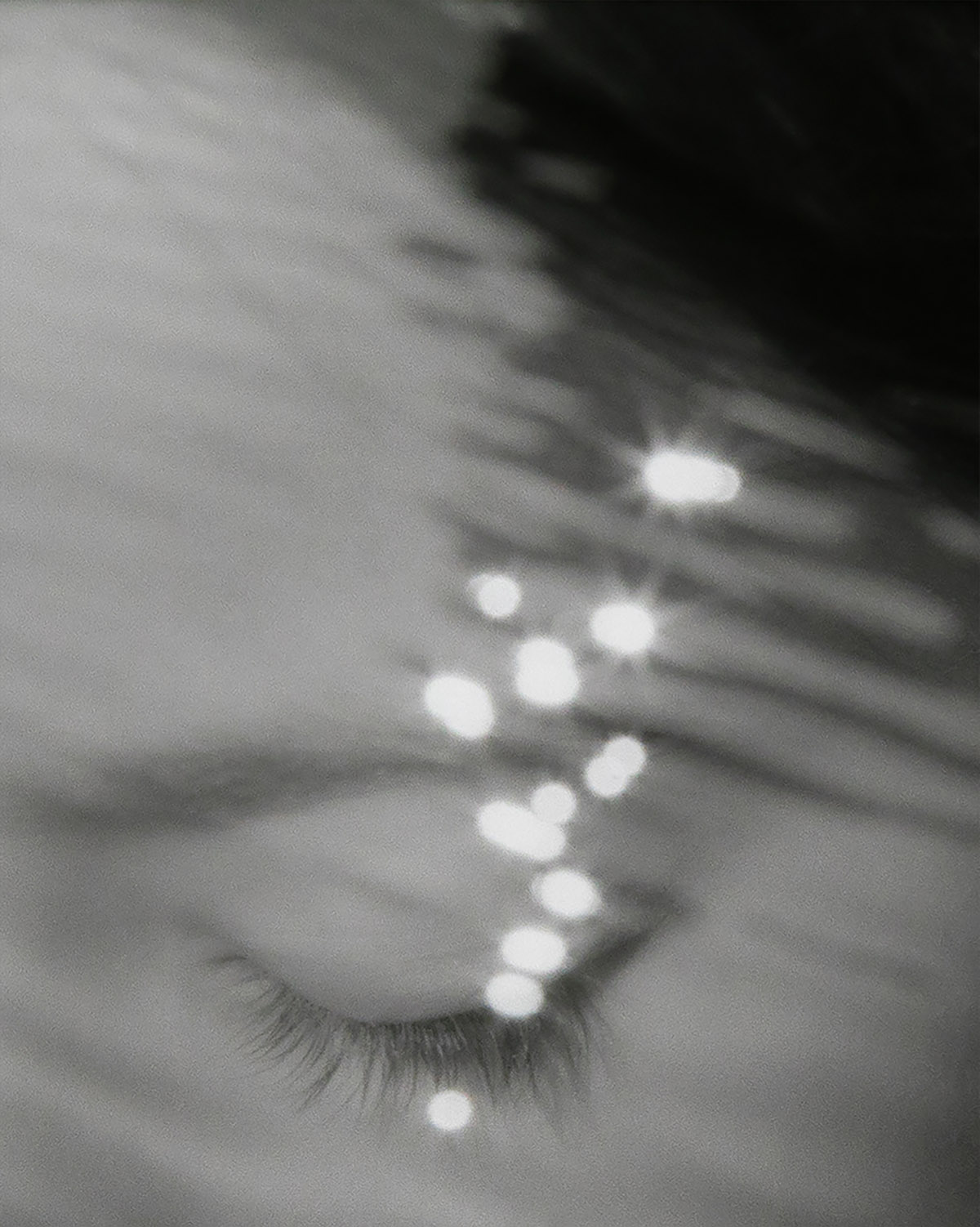 Marieke Mulder, Gates to the Garden