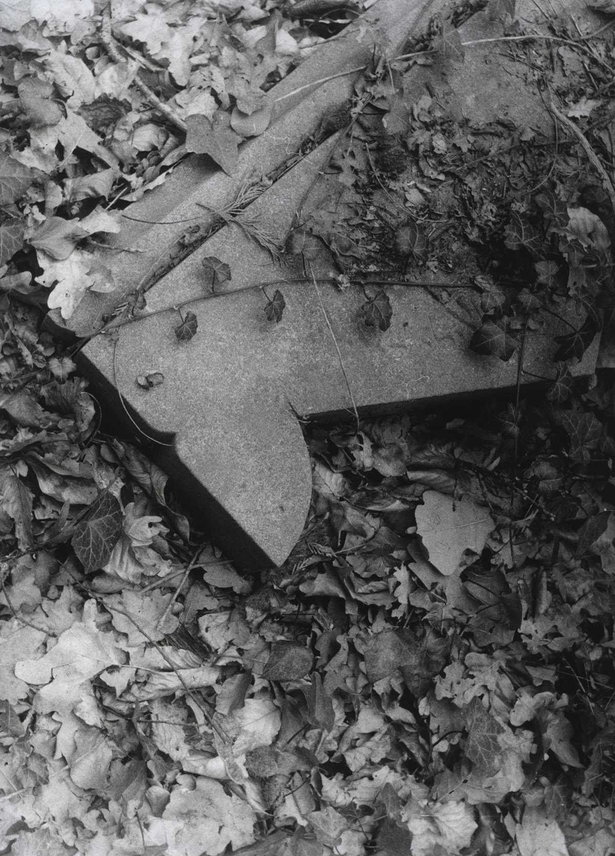 Ruud Smit, Joodse begraafplaatsen in de Achterhoek