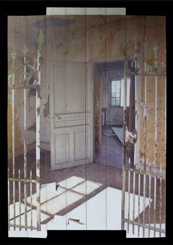 Annelies van Nieuwmegen