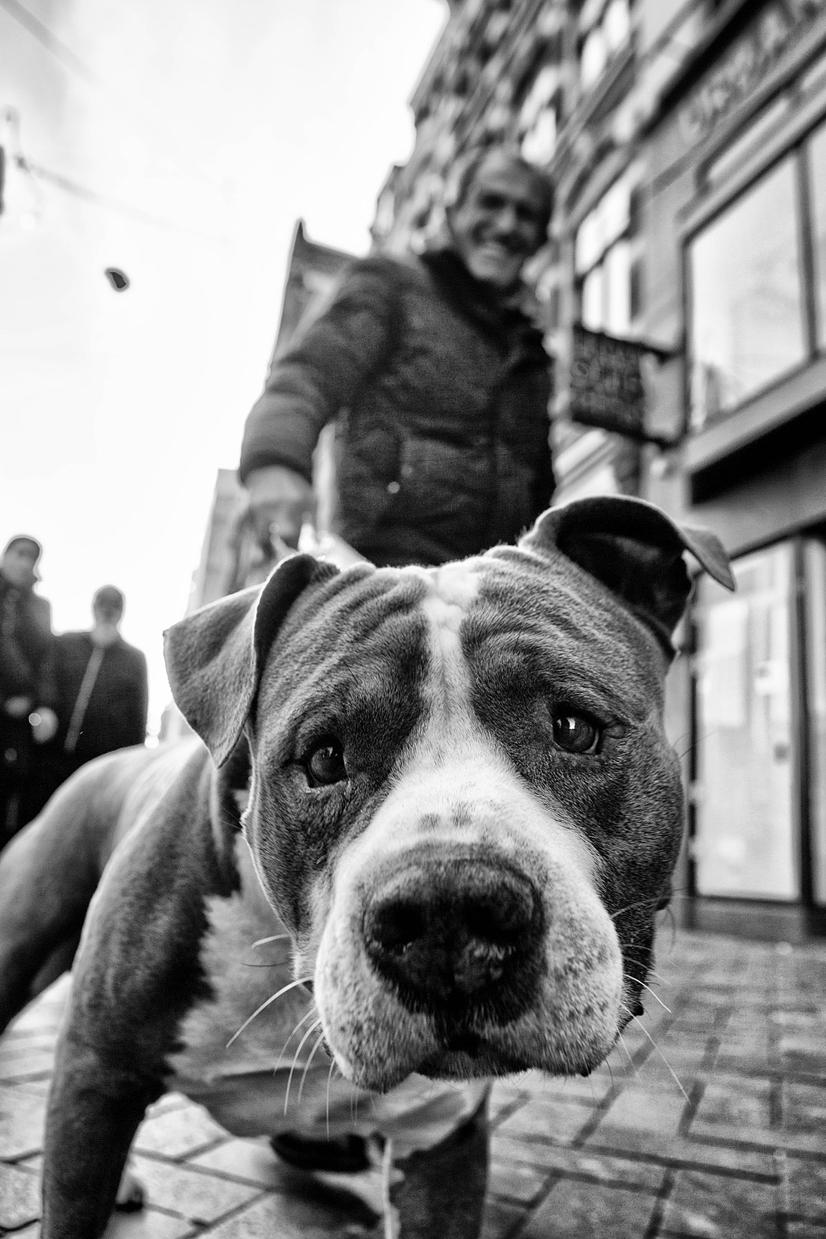 Amsterdam through my eyes