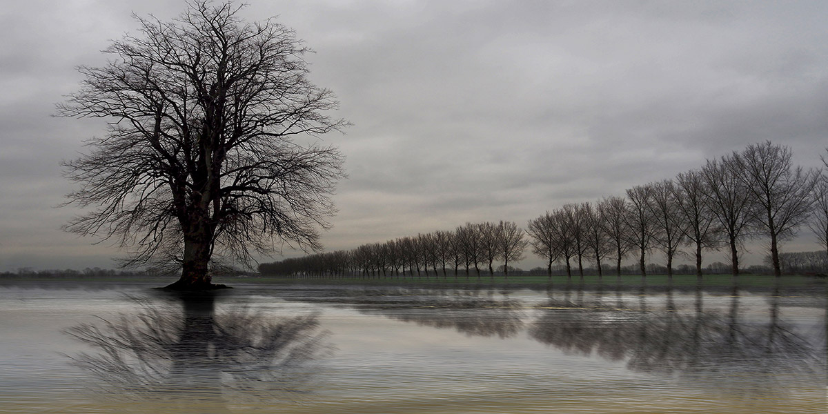 Mijn IJssel