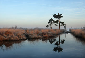 Dwalen door de Peelvenen