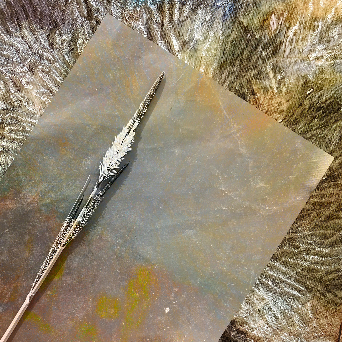 Marja Driessens-Diessel