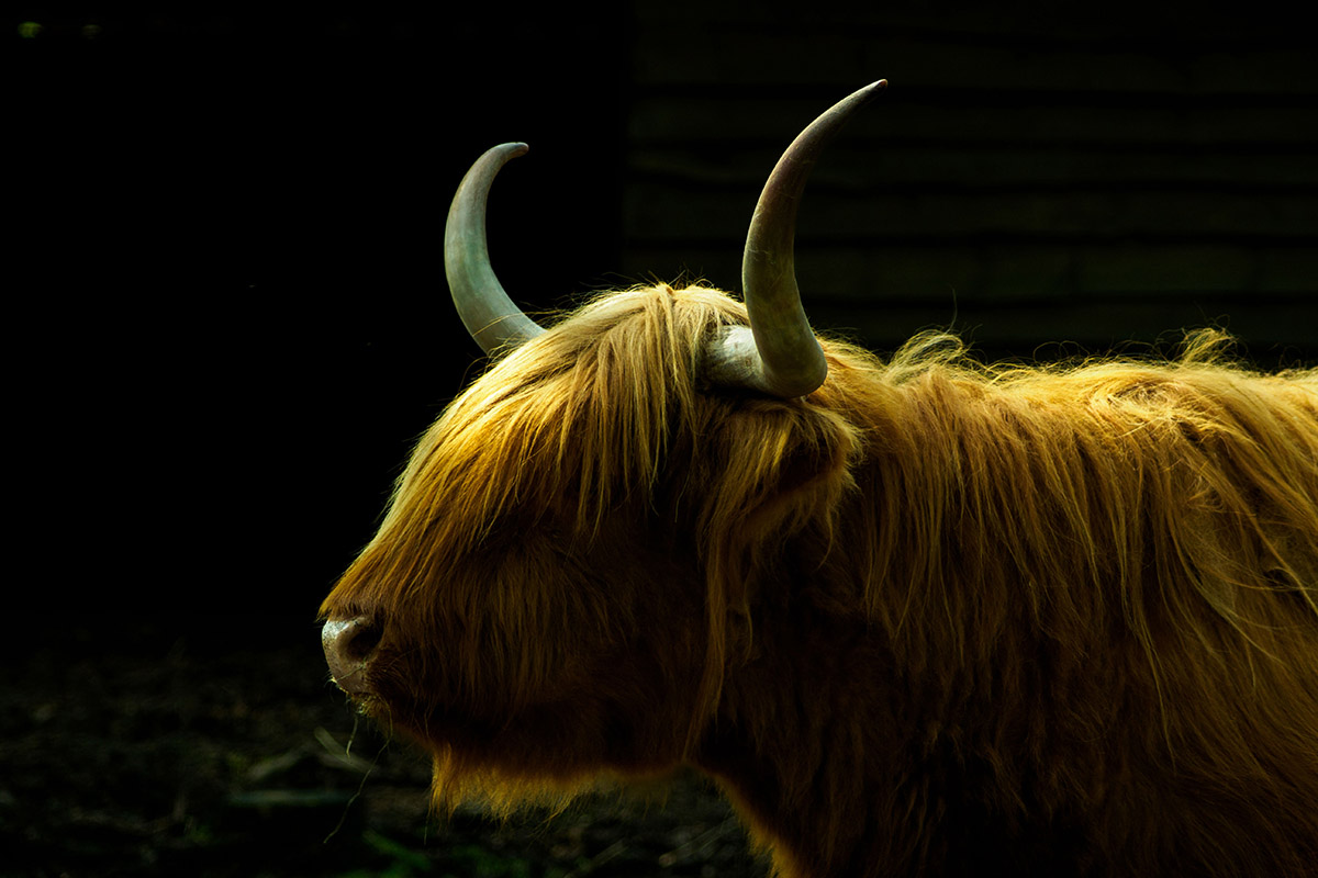 Expositie Natuurfotografie 2025