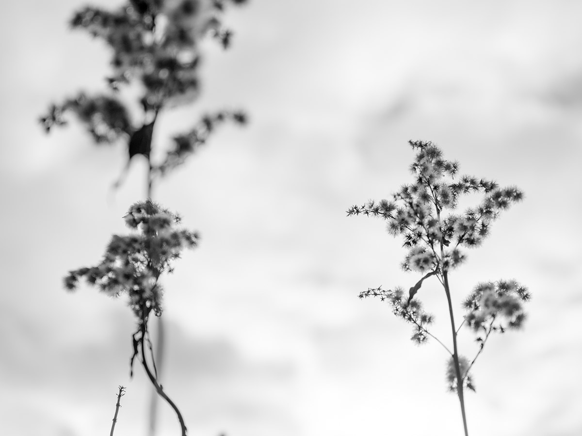 Judith Lechner, On/t/schuld