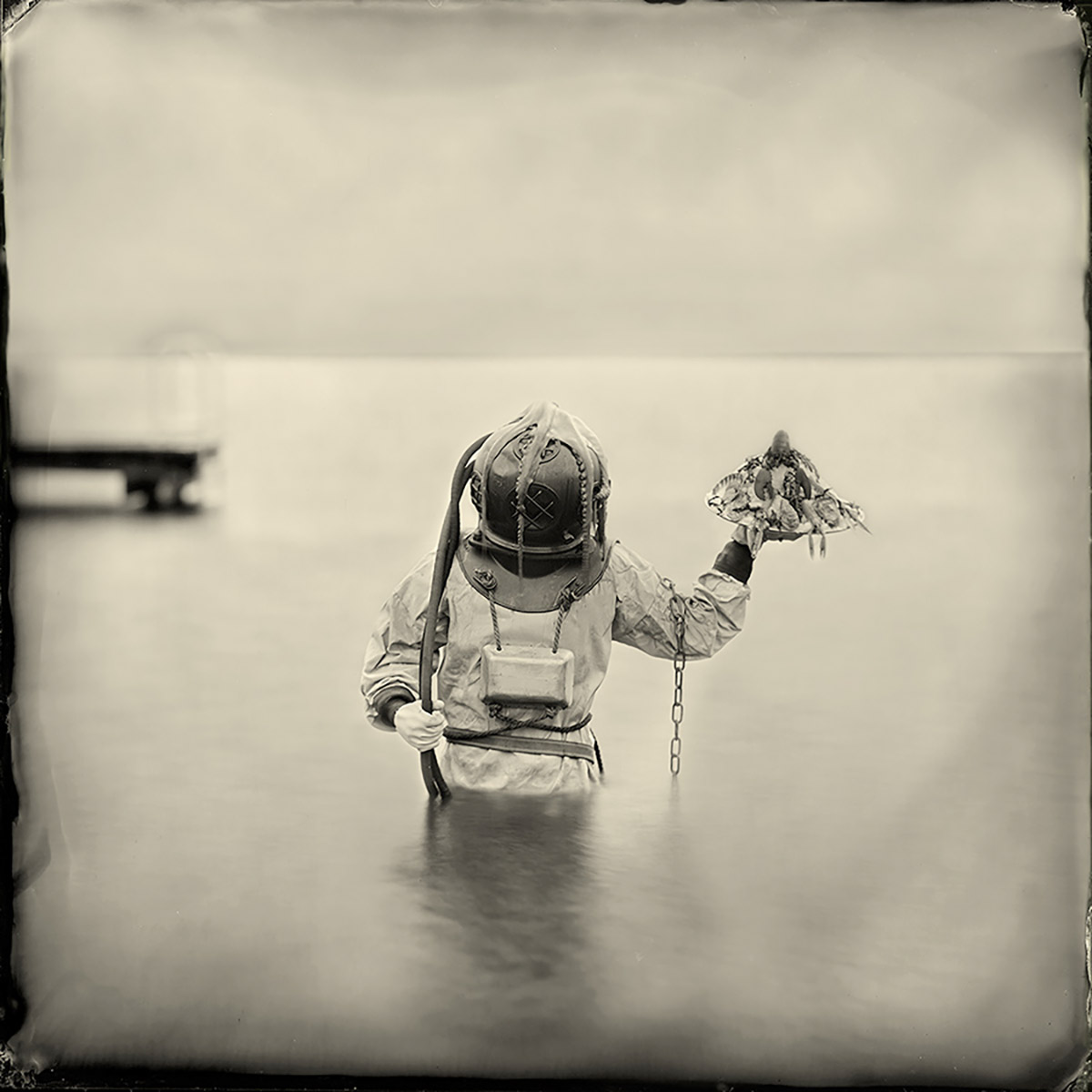 Alex Timmermans, Catch of the day