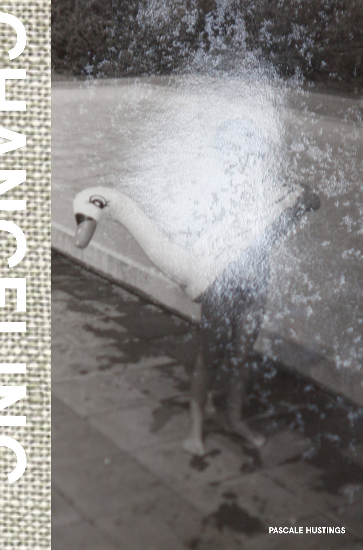 Pascale Hustings, Changeling (cover)