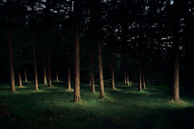 Iris Hartman, Connected, uit serie The Remedy