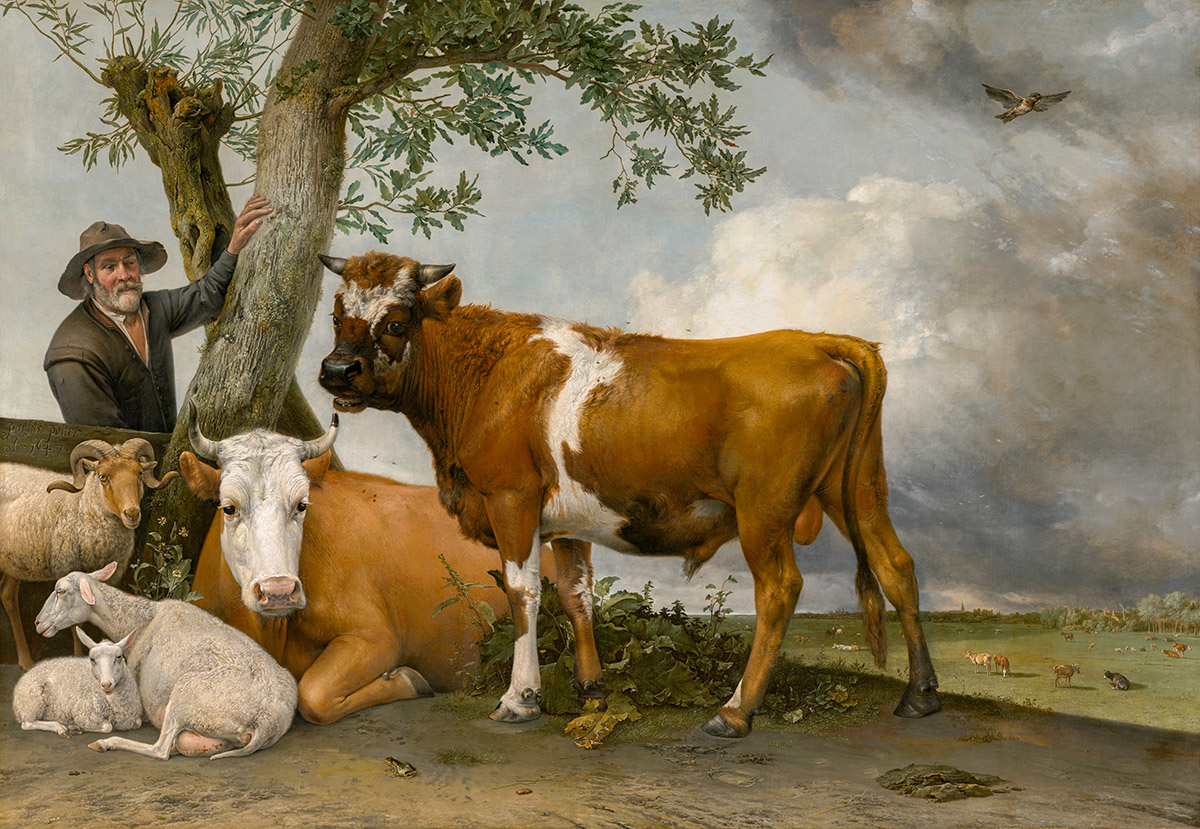 Paulus Potter, De Stier, Mauritshuis