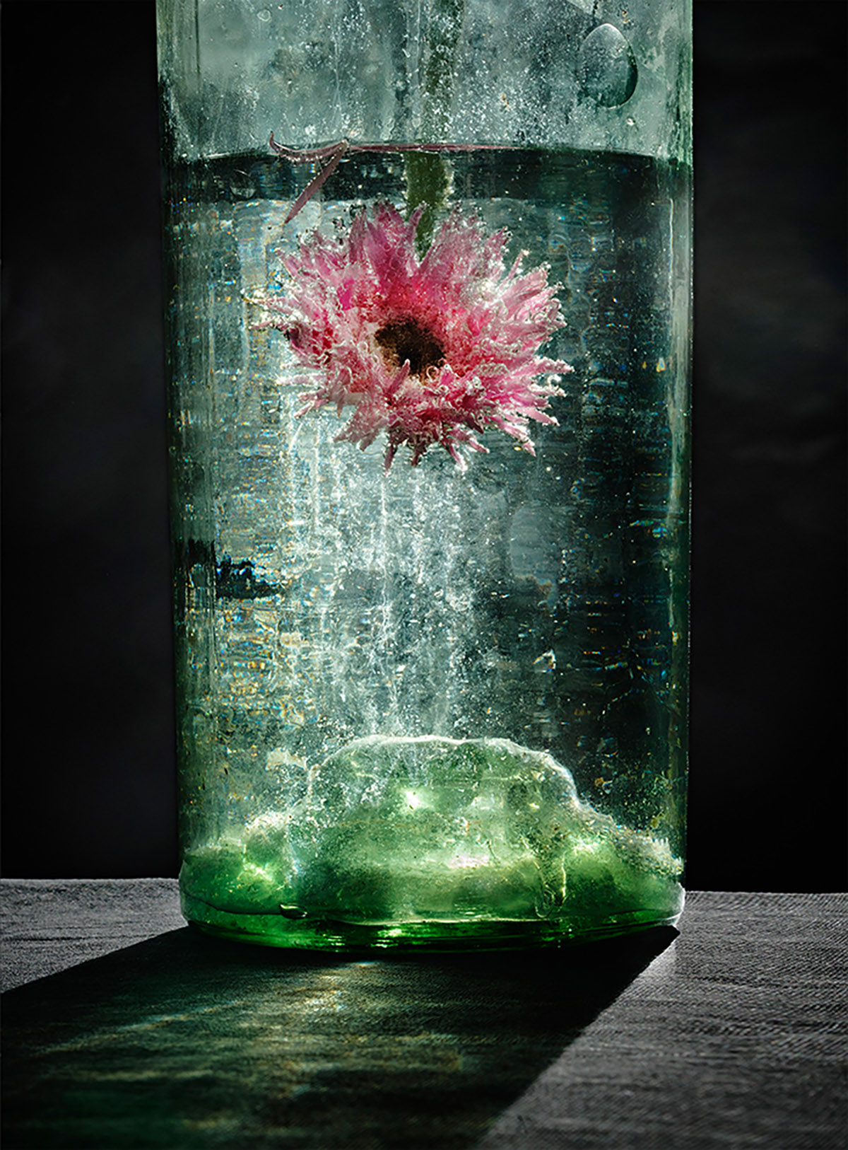 Stephan Vanfleteren, Flower, 2026 (in dialoog met Vaas met bloemen van Jan Davidsz de Heem)