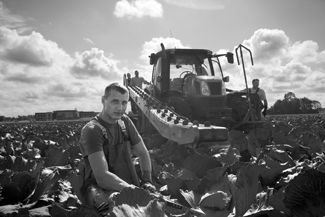 Kunnen wij hier werken? - Polen in Polderland