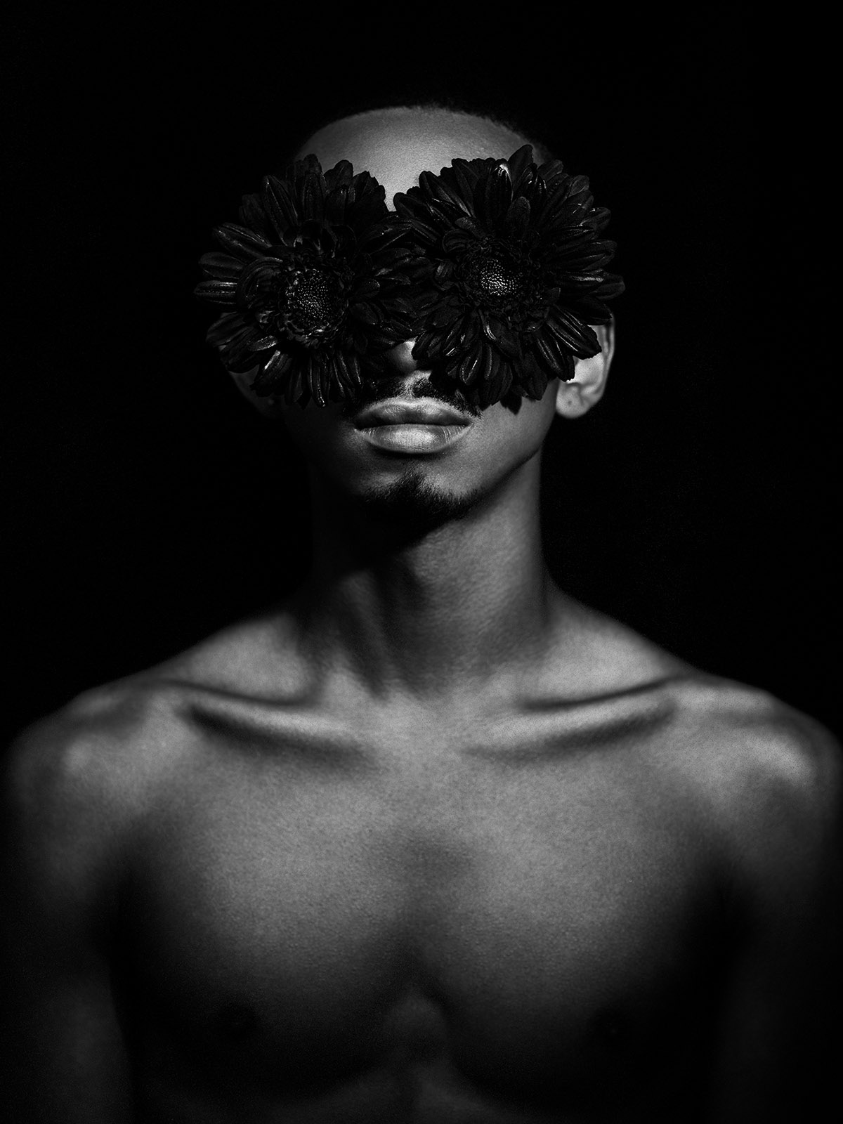 Renata Dutr&eacute;e, Losing Faith II