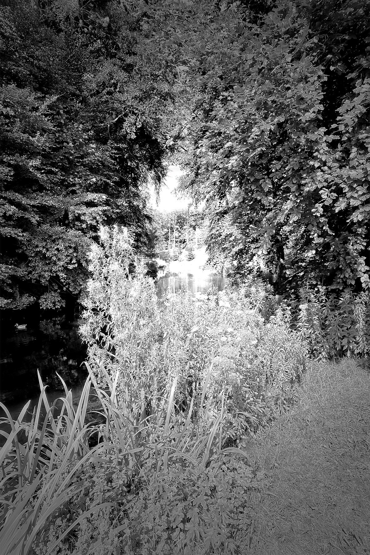 Esther Prinsze, Print&Drinks club, Gllimmer