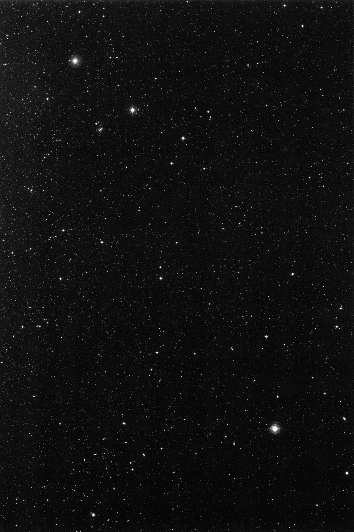 Project Space On The Inside viert vijfjarig bestaan met de tentoonstelling Zwerk.