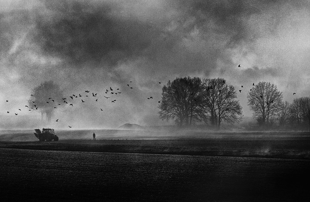 Eddy Verloes, Only birds are free