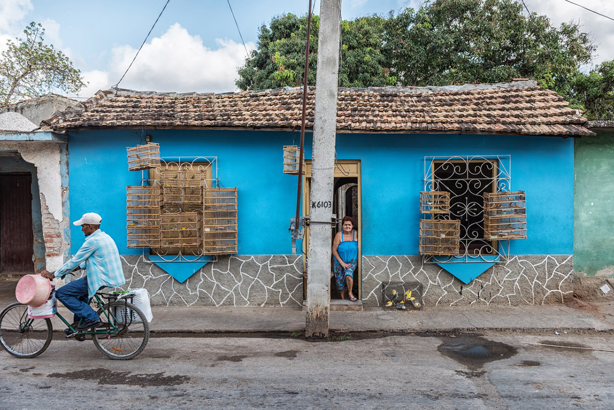 Eddy Verloes, Birds born in a cage think flying is an illness