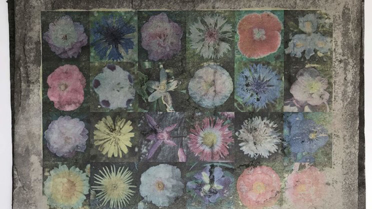 Yamand&uacute; Roos, Kamiyama 1