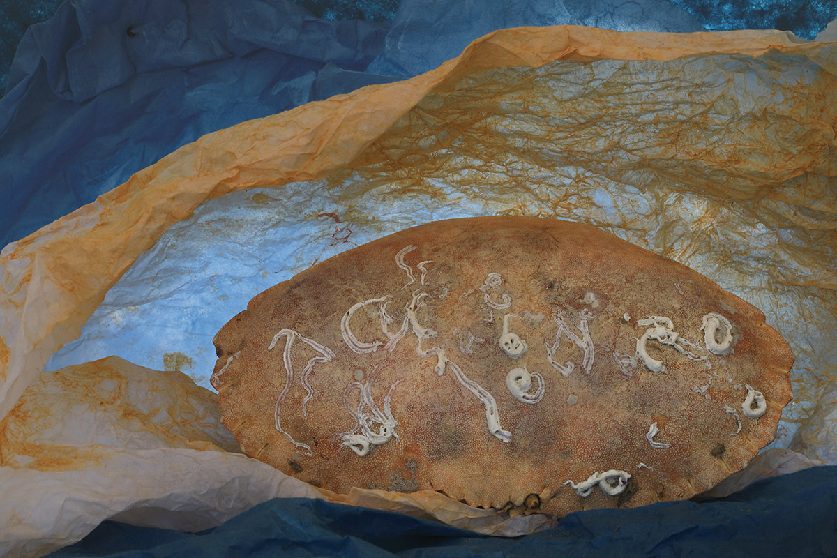 Rieja van Aart, Contemplation