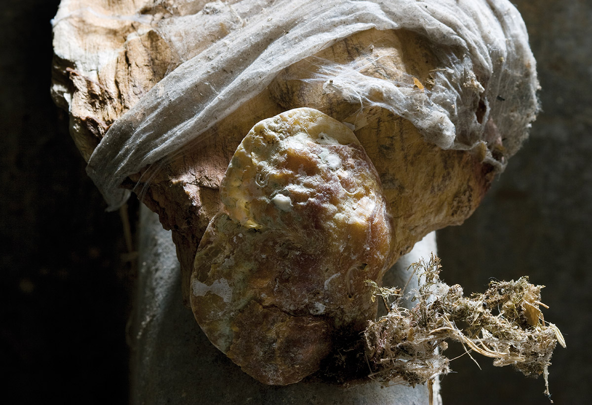 Rieja van Aart, injured