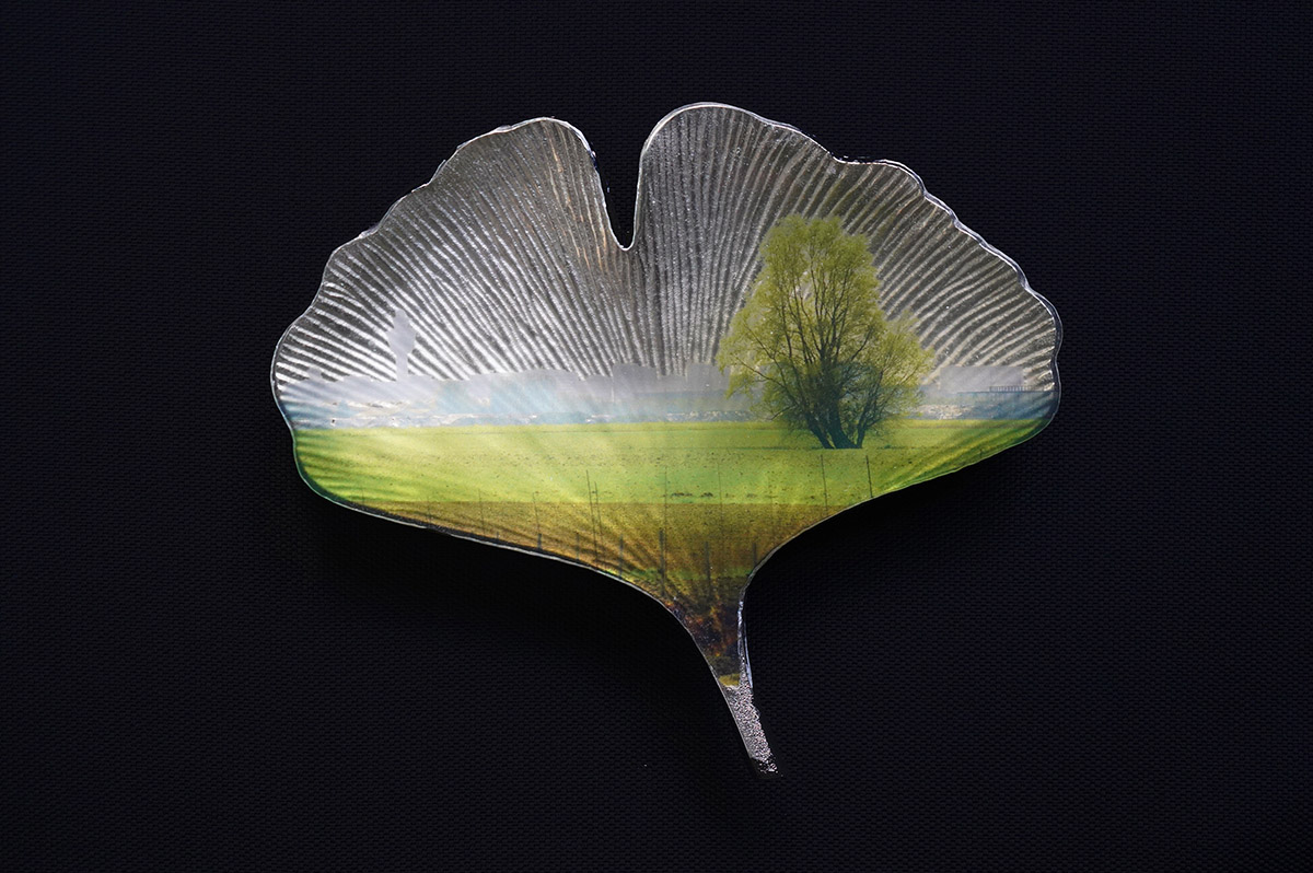 Rob Chevallier, De stikstofboom, Schiphol, foto (perspex) op metaal