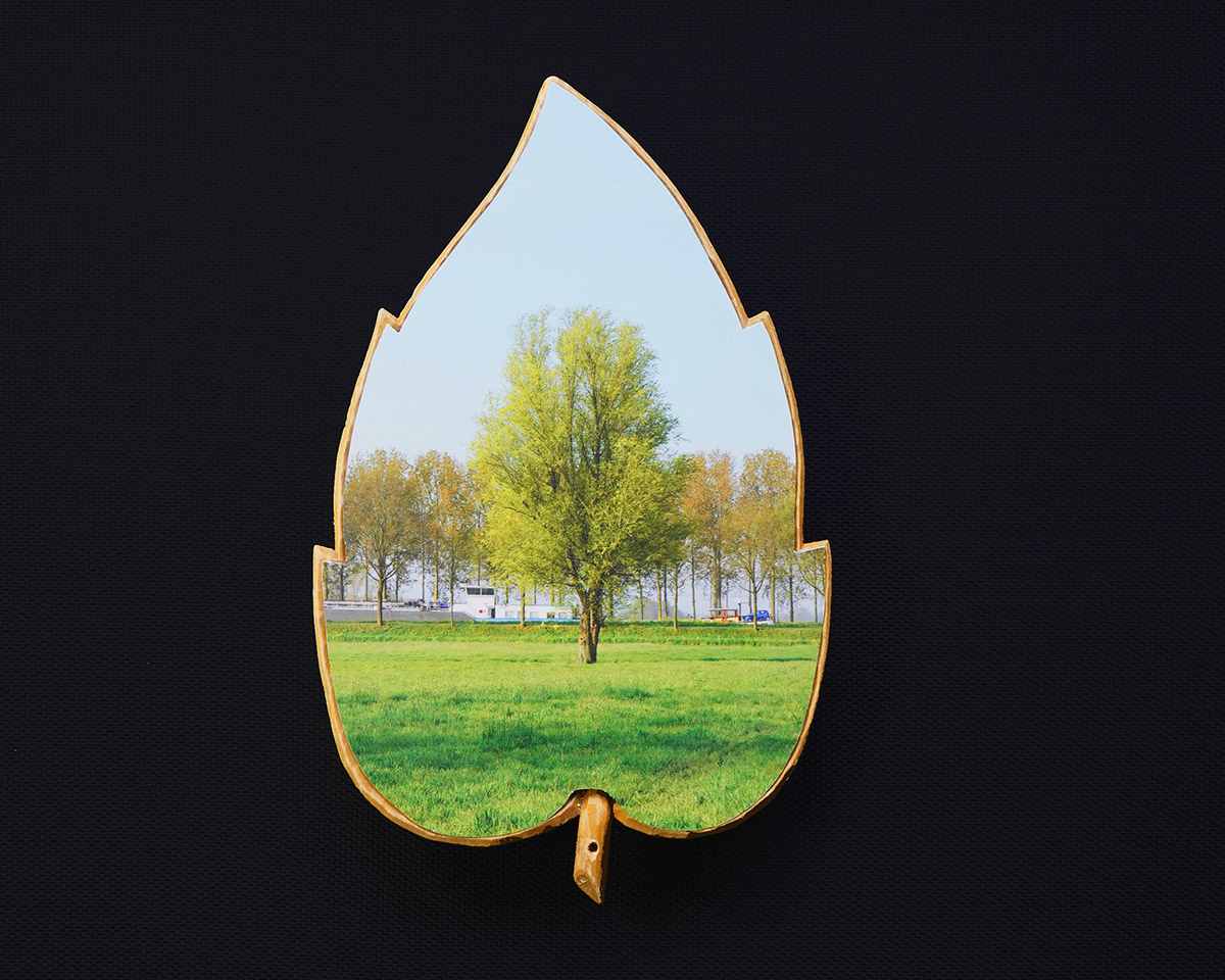 Rob Chevallier, De stikstofboom, Breukelen, foto (forex) op hout