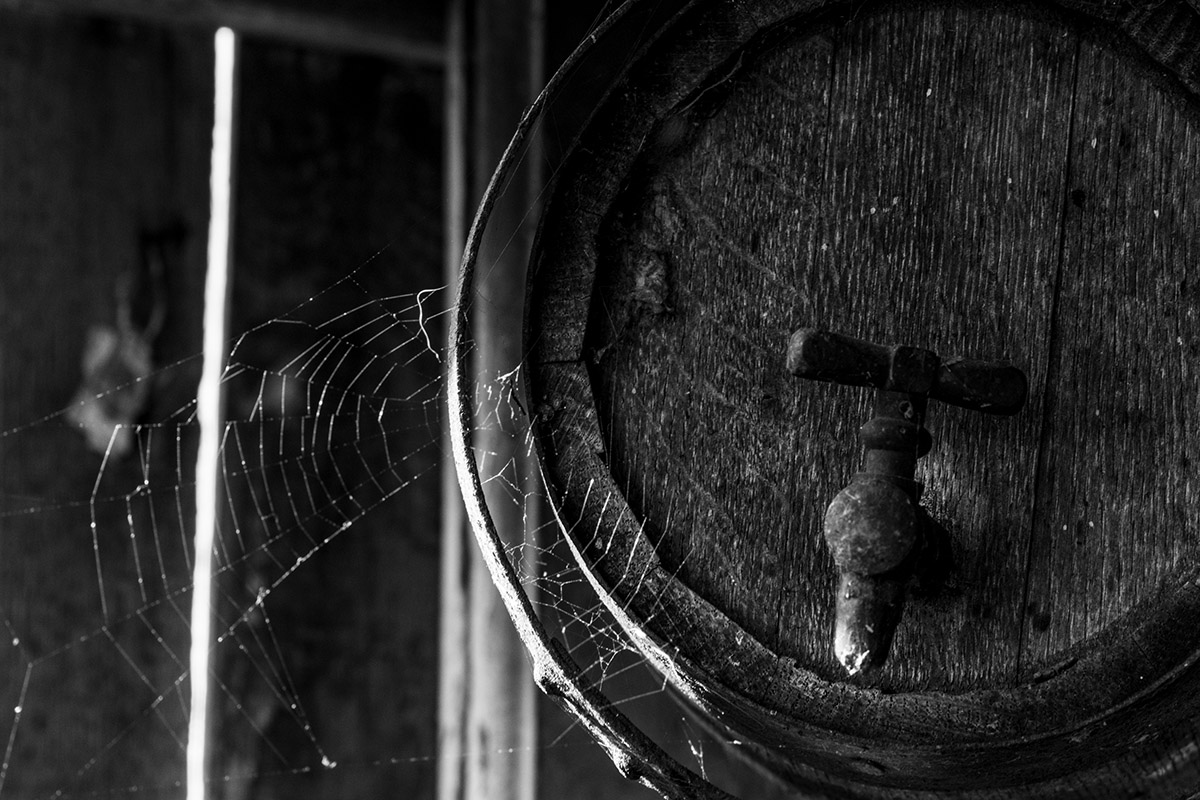 Rob Godfried, De Eilandstal