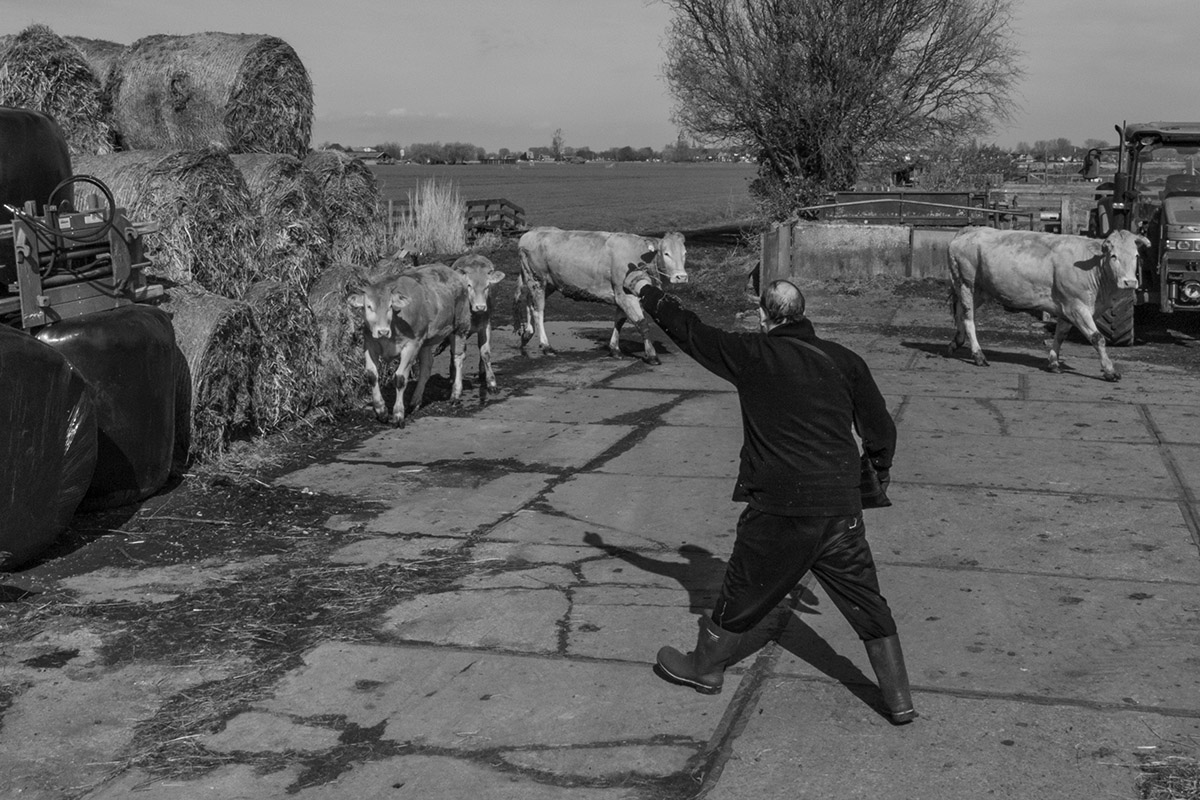 Rob Godfried, De Eilandstal