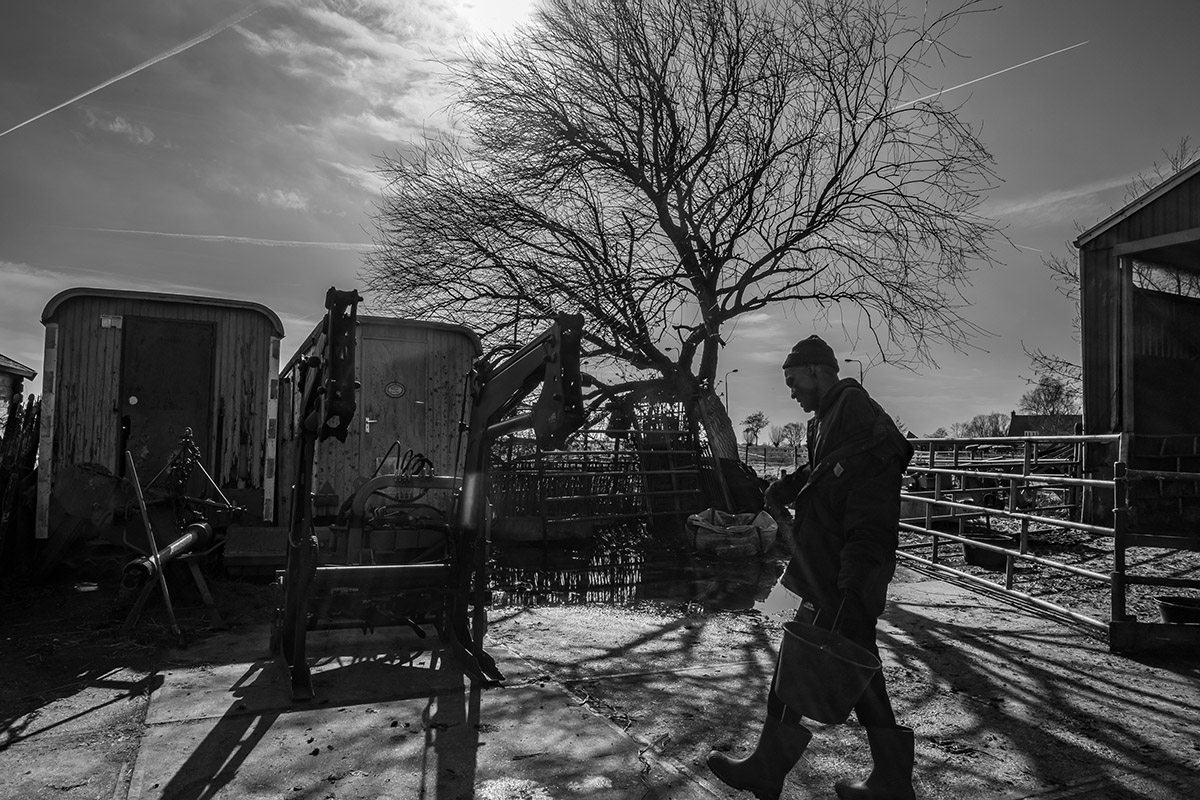 Rob Godfried, De Eilandstal