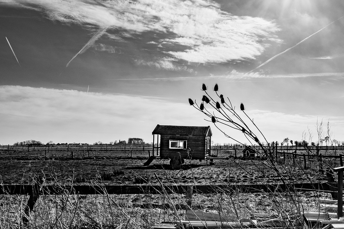 Rob Godfried, De Eilandstal