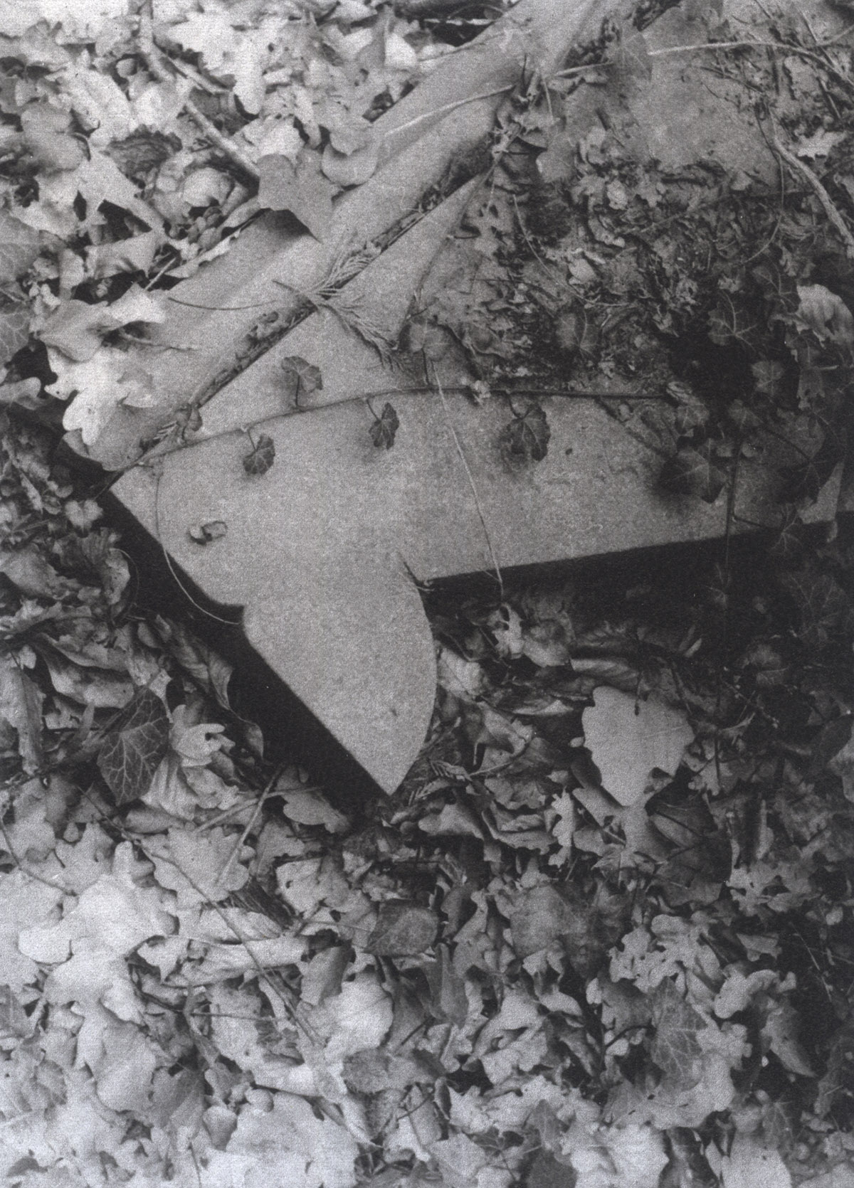 Ruud Smit, Joodse begraafplaatsen, kooldruk zwart