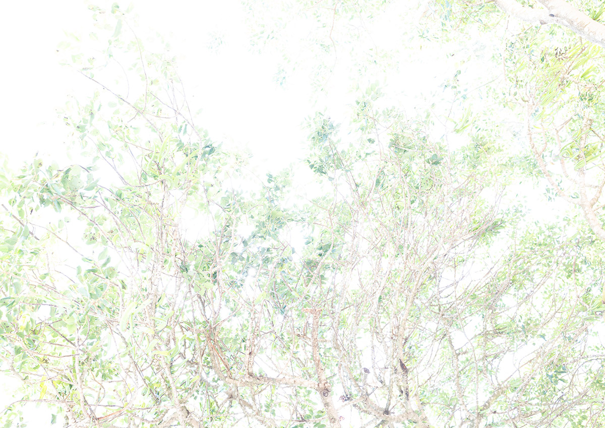 Sandra Smits, Donker verlicht | Leven met migraine