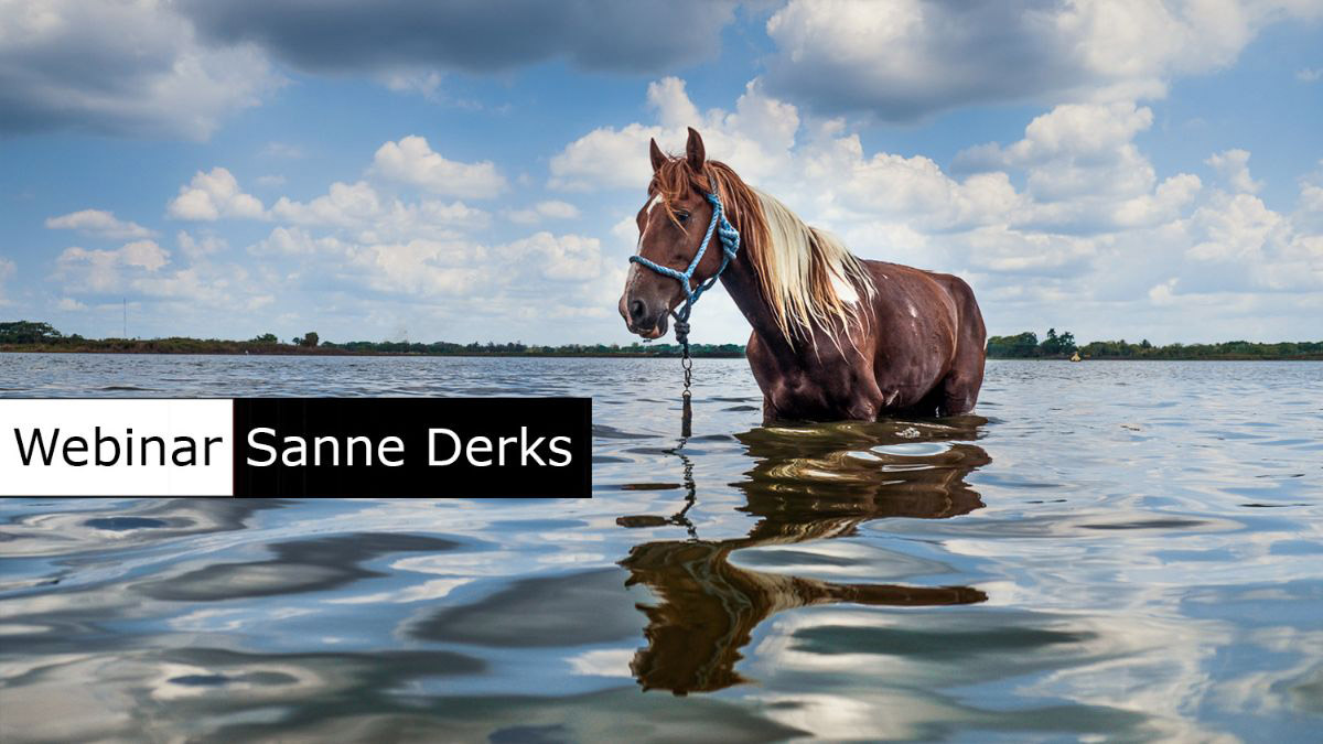 Gratis webinar met Sanne Derks