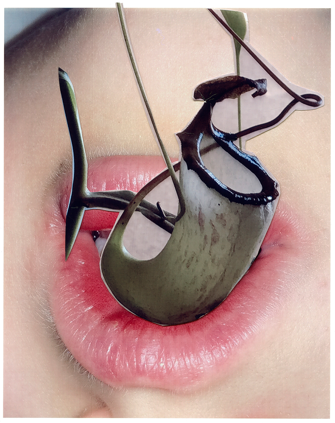 Viviane Sassen, Nepenthes Alata, 2017