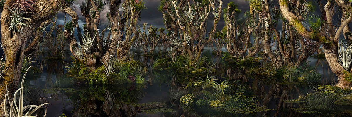 Van Veen & Mus, A forest axiom, From the series Creating Wilderness