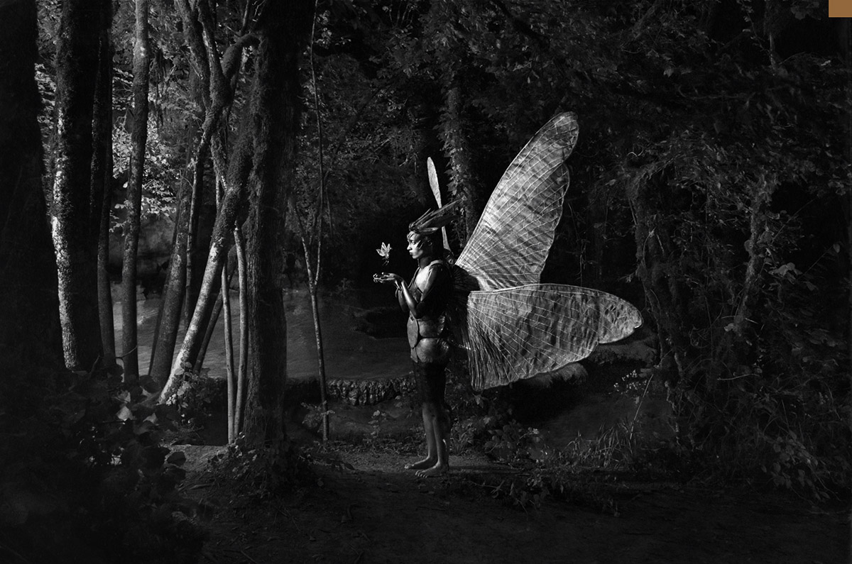 Jip Mus, From the serie Modded Mimesis